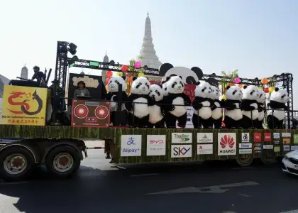 pandas at EM Quartier
