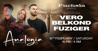 Analogia Experience | 15.02.25