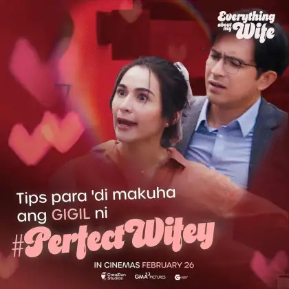 "Everything About My Wife"