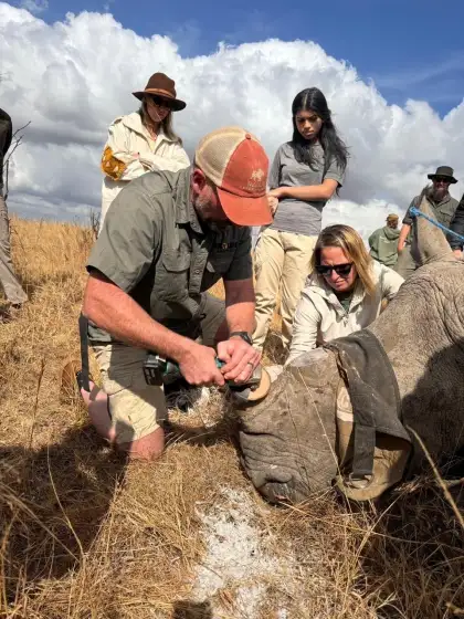 wildlife intervention