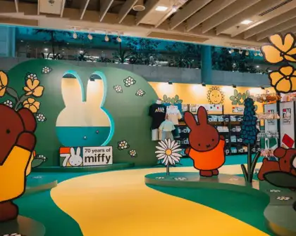 Miffy and Friends, Boris, Brenda, and more.