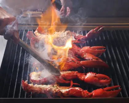 The Grilled Live Boston Lobster