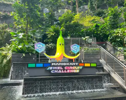 The banana peel installation at the Jewel Changi Airport