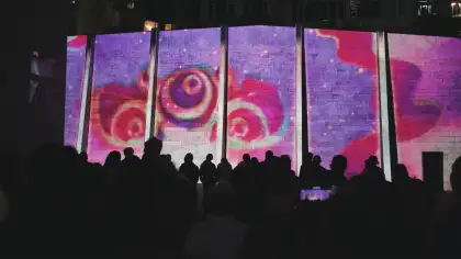 Shana Aminova's past work (the picture) is titled "Inner Glow"