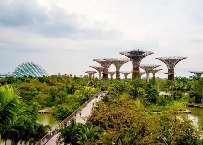 Gardens By The Bay