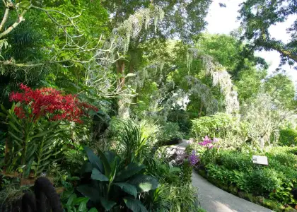 Singapore Botanic Gardens