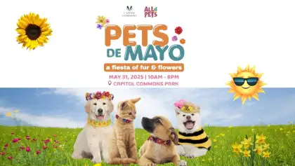 PETS DE MAYO
