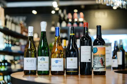 Uncorking Wine Essentials: Understanding Wine