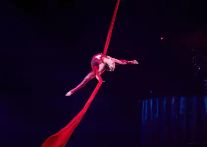 aerial silk