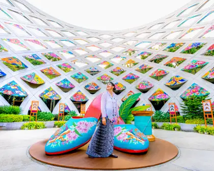 The Field of Beaded Bloom in day