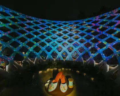 The Field of Beaded Bloom at night