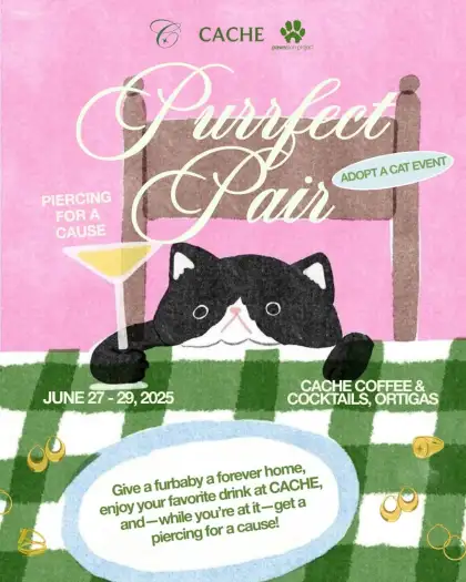 Purrfect Pair - Adopt A Cat Event