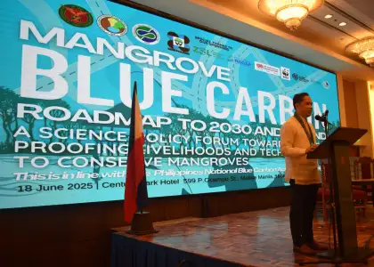 Philippines Pushes for Multi-Sectoral Initiative to Protect Mangroves