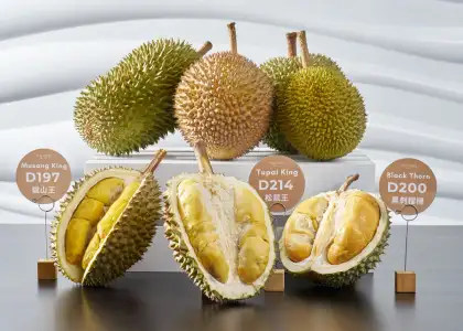 The Mira Hong Kong Malaysian Durian Afternoon Tea Buffet