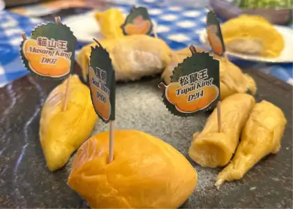 Durian platter