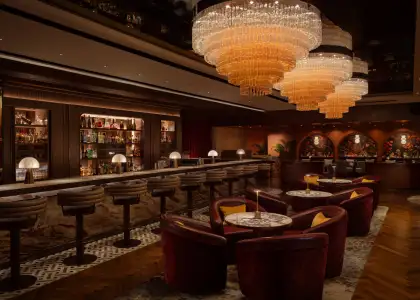 The interior of the newly opened ANTI:DOTE