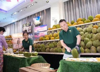 durian cutting