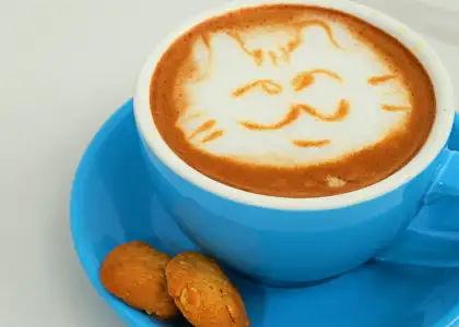 Latte art by Scholarsip