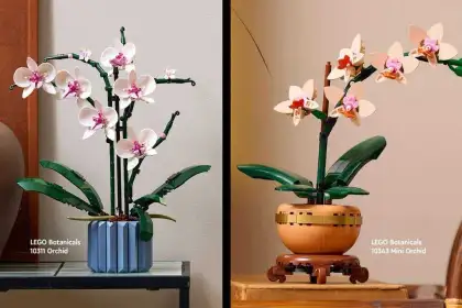 LEGO Orchids