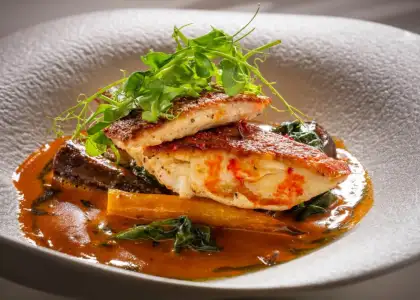 Mr. Wolf Terrace in Central