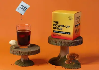 Mushroom Mix #vol. 0 features DJ Nip Lung and Shon