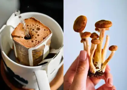 Made From Mushroom's instant coffee