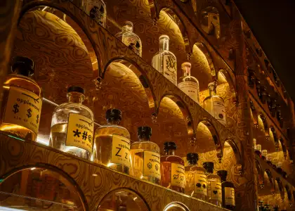 Gin bottles lined up