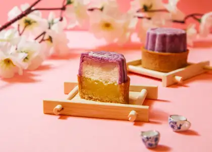 A cross section of the moon tart