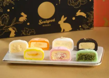 Basque Snowy Mooncake Collection