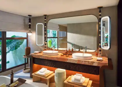 Forest Suit's bathroom