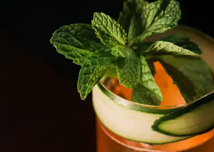 Introducing temper: A New Sensorial Hideaway Where Wine and Good Music Meet