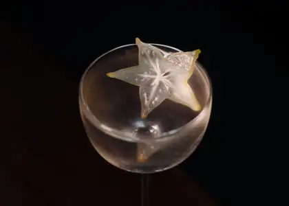 a cocktail garnished with a starfruit