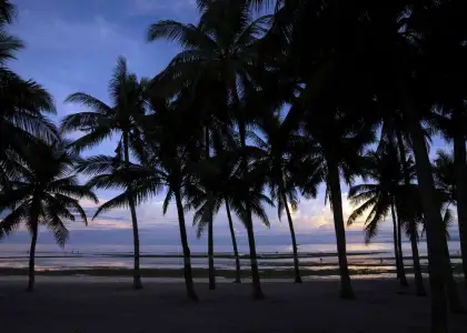 Natural scenery of Bohol Island