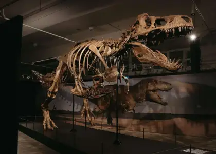 A Supersized Prehistoric Encounter Awaits at the Science Centre Singapore