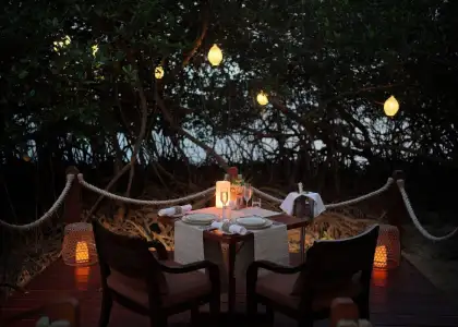 The Residence Bintan