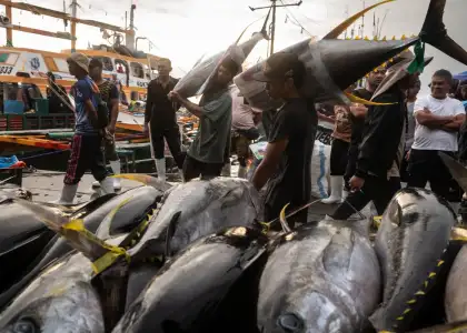 Nicole Tung's nine-month investigation into illegal fishing and labor abuse across Southeast Asia.