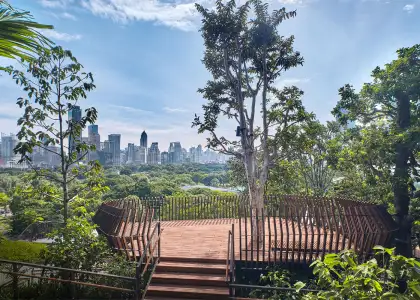 Offers a panoramic view of the city skyline