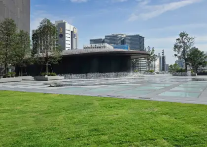 A lush green space to relax and rewind