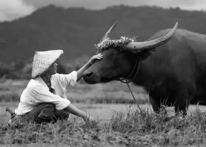 A still from the short