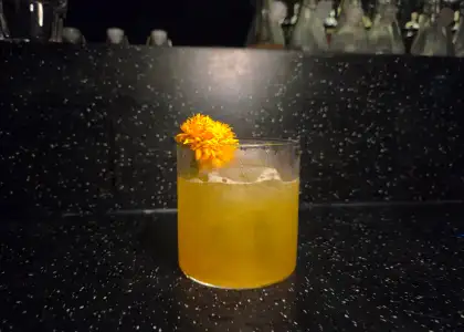 Take Me Back's QC Slammer