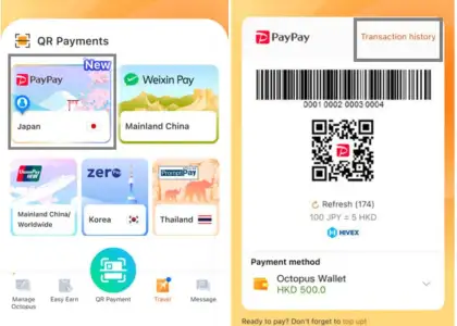 Interface of Octopus