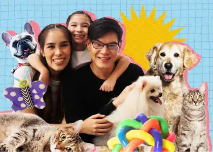 Pawsitive Living: Here are Five Things Every Pet Needs