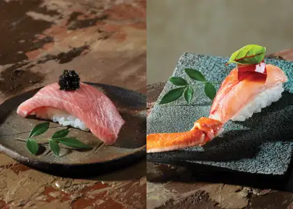 Two sushi dishes