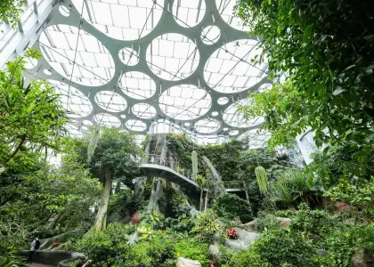 The Expo Cultural Park Greenhouse Garden in Pudong, Shanghai