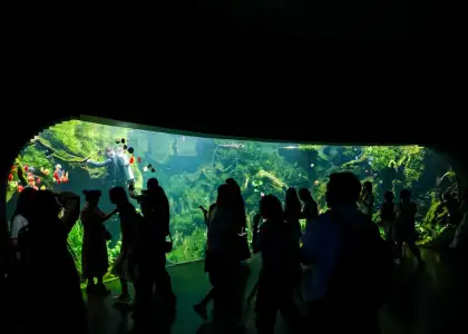 The Expo Cultural Park Greenhouse Garden in Pudong, Shanghai