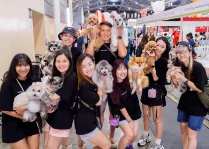 PetExpo Fiesta Cosy Corner