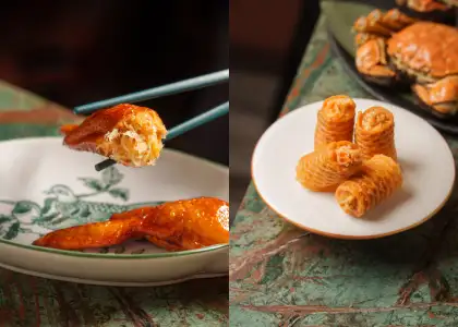 Chicken wing and spring rolls