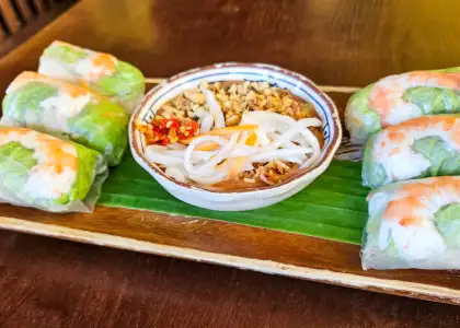 Vietnamese spring rolls