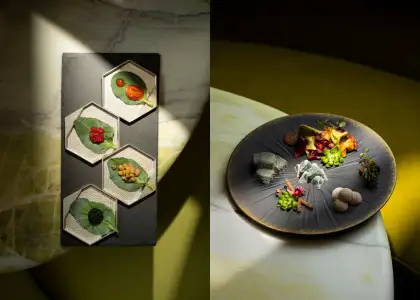 Two fermentation-forward snack bites