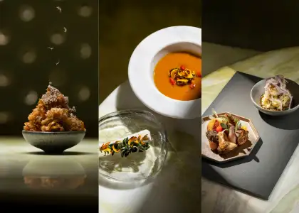 Three fermentation-forward meals